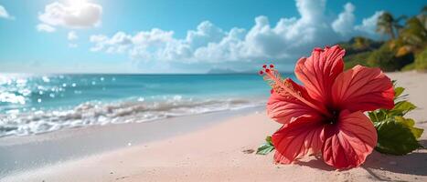 Red hibiscus flower on the beach with sea wave background. photo