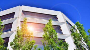 Eco architecture. Green tree and new residential building. Harmony of nature and modernity. Modern apartment building with new apartments in a green residential area. photo