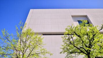 Modern white concrete building walls against blue sky. Eco architecture. Green trees and concrete office building. The harmony of nature and modernity. photo