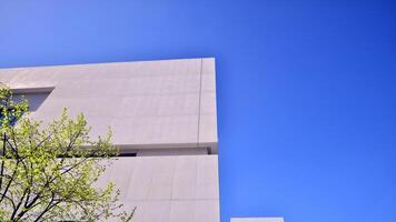 Modern white concrete building walls against blue sky. Eco architecture. Green trees and concrete office building. The harmony of nature and modernity. photo