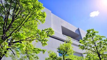 Modern white concrete building walls against blue sky. Eco architecture. Green trees and concrete office building. The harmony of nature and modernity. photo