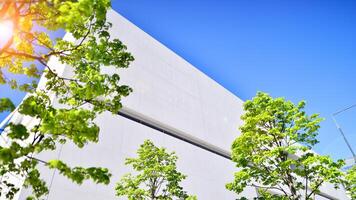 Modern white concrete building walls against blue sky. Eco architecture. Green trees and concrete office building. The harmony of nature and modernity. photo