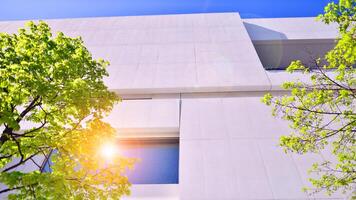 moderno blanco hormigón edificio paredes en contra azul cielo. eco arquitectura. verde arboles y hormigón oficina edificio. el armonía de naturaleza y modernidad. foto