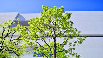 Modern white concrete building walls against blue sky. photo