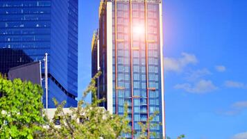 Eco building in modern city concept. Modern office building with the fresh green leaves. photo