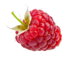 rouge Frais framboise png