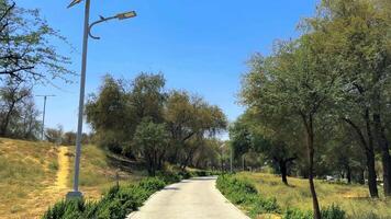 Sidewalk in the park during the daytime video