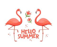 Flamingo birds with exotic tropical flowers and Hello Summer lettering. vector