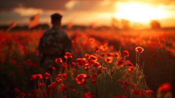 Soldier stands among red poppies at sunset in natural landscape photo