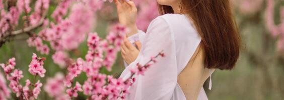 A girl is walking through a field of pink peach flowers. She is wearing a white dress and carrying a basket. The scene is peaceful and serene, with the pink flowers creating a beautiful photo