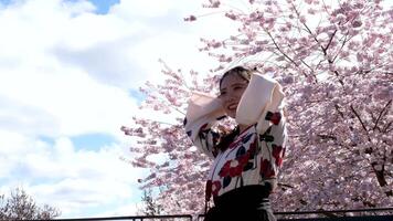 hermosa asiático mujer riendo lanzamiento su pelo en lento movimiento en contra fondo de Cereza flores azul cielo con blanco nubes bordado japonés nacional vestir chino coreano brillante cara joven niña video