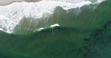 aerial drone view of a surfer surfing a wave with a red surfboard. Overhead view video
