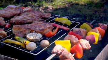 carne e legumes estão frito em espetos. fechar acima. video