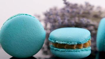 rodopiando azul macaron lavanda ou bru queijo sabor em Preto prato rodopiando delicioso sobremesa restaurante servindo Doçura francês sobremesa almoço chefe de cozinha prato grande quantidade do coberturas amêndoa farinha lento movimento video