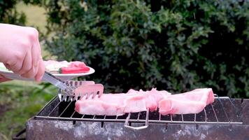 profissional churrasco homem verificação carne bife prontidão colocando fino termômetro dentro a carne, Prêmio carne bife assar em churrasco rede para piquenique Festa. processo do grelhar carne bifes para luxo video