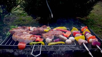 Skewers with delicious kebabs or barbeque on brazier, cam moves to the right, slider video