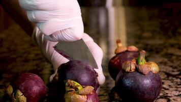 mão mostrar mangostão fatiado roxa pele e branco carne do a rainha do fruta.mangostão é abundante dentro tailândia.mangostão muitos benefícios dentro tratando a doença .muitos pessoas ligar rainha do frutas. video