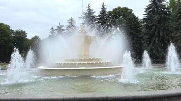 fontän i de central parkera av de stad av vinna ukraina regnig väder stor träd och en fontän mot de bakgrund av en molnig himmel vatten flöden vanlig liv video