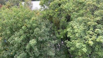 filmando uma a partir de uma ferris roda dentro a cidade do vinnitsa, Ucrânia velho atrações Visão do a cidade alta ferro roda dentro a parque colorida cestas verde árvores chuvoso céu video