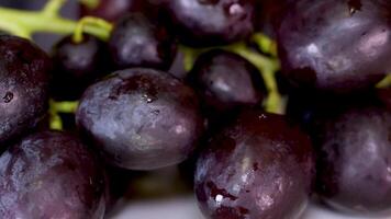 Woman hands with French manicure breaking open the berries of large grapes Close-up of berries of blue grapes after rain, macro shot video