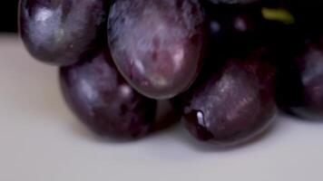 mujer manos con francés manicura rotura abierto el bayas de grande uvas de cerca de bayas de azul uvas después lluvia, macro Disparo video