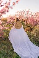 mujer floreciente melocotón huerta. en contra el fondo de un pintoresco melocotón huerta, un mujer en un largo blanco vestir y sombrero disfruta un pacífico caminar en el parque, rodeado por el belleza de naturaleza. foto