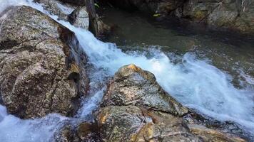 Cascading crystal clear water over rugged rocks in a serene forest creek, ideal for environmental themes and World Water Day promotions video