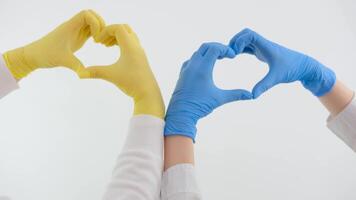 Gelb Blau Handschuhe Kardiologie Behandlung von Herz Krankheiten Hilfe Krankenhaus Hände von zwei Ärzte Show Herz mit ihr Hände auf ein Weiß Hintergrund im das Studio unkenntlich Menschen Pflege zum ein geduldig video