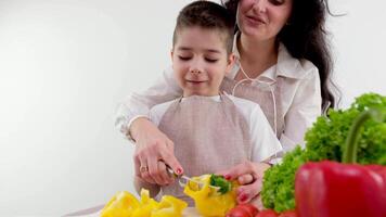 gelukkig vrolijk moeder en haar weinig jongen voorbereidingen treffen een voedingsmiddelen en groenten in huiselijk keuken samen. mamma onderwijs haar weinig zoon naar Koken in keuken video
