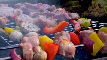 Grilled sausages and vegetables on a grilled plate, outdoor. Grilled food, bbq video
