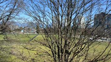 Aussicht von Himmel Zug Fenster von ziehen um Zug im surrey Vancouver Kanada Frühling Nein Blätter nackt Bäume Stationen Wolkenkratzer Technologie Zentren Schienen groß Block anders der Verkehr anders Wetter video