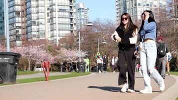 David Lam Park spring in big city cherry blossoms skyscrapers strolling pedestrians Pacific Ocean ships all this in several videos that can make good movie geese cyclists families women and men