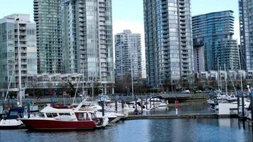 david lam park yaletown mooi park in Vancouver hoog wolkenkrabbers mensen wandelen in voorjaar grote Oceaan oceaan steiger fietsers zon Doorzichtig lucht bloeiende kers Doorzichtig zonnig dag meeuwen vlieg rust uit weekend video