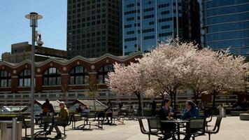 Canada Place cherry blossoms people sitting at the table having breakfast having lunch talking against the backdrop of skyscrapers in sunny cold weather spring in vancouver canada video