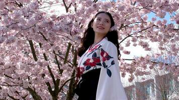 jovem ásia mulher vestindo quimono. cereja flores. japonês tradicional roupas. video