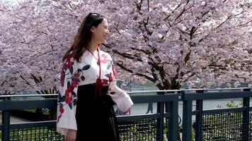 långsam rörelse flicka rörande med hand lekfullt blommar sakura träd. ung kvinna med lång hår åtnjuter vår trädgård i blomma. flicka gående i japansk trädgård med blomning träd. drömmande mjuk fokus. video