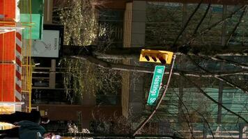 Vancouver Straße hoch Häuser Frühling Bäume nackt ohne Blätter Konstruktion Straße Reparatur Kamera langsam filmen anders Gebäude gut Hintergrund zum Nachrichten Geschichte Über Winter Frühling Stadt Kirsche Blüten video