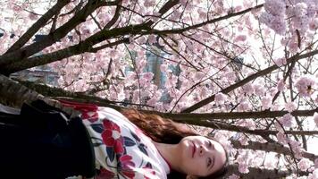 primavera, niña cerca un floración árbol triste asiático niña soportes cerca Cereza flores en el puente mira abajo olas asperja pétalos descanso viaje imagina belleza video