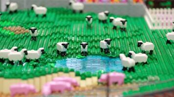 constructor Lego Lambs by the lake grazing herd of small lamb and also pigs creation of real life from the constructor game fences field and rails video