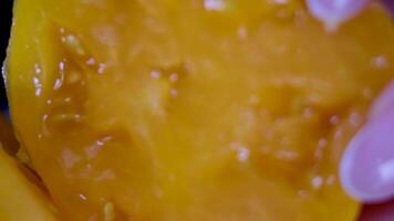 Scheiben von Gelb saftig Tomate , Drehung im Kreis. Hintergrund Gelb Tomate, drehen. selektiv Fokus. saisonal Gemüse video