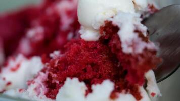 rouge gâteau avec crème et framboise saveur, une pièce de sucré dessert rouge gâteau avec baies video