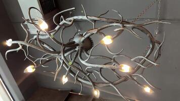 Zeichenfolge Licht Girlande Lampe Glühbirnen auf Baum Luxus schön Beleuchtung Birne im das Empfangshalle, Leuchter hängt von das Decke, kreativ modern Innere im Restaurant von Unterseite Aussicht video