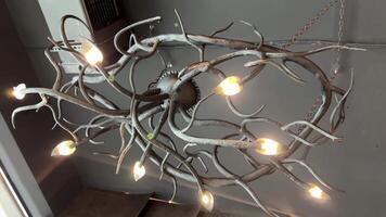 draad licht slinger lamp bollen Aan boom luxe mooi verlichting lamp in de lobby, kroonluchter blijft hangen van de plafond, creatief modern interieur in restaurant van bodem visie video