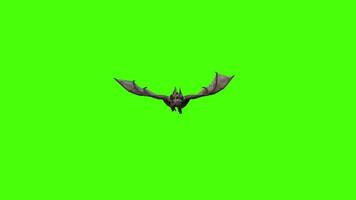 animación de un murciélago volador y deslizamiento en verde pantalla video