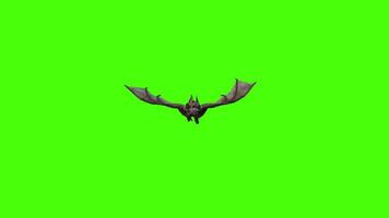 animation de une chauve souris en volant et glissement sur vert écran video