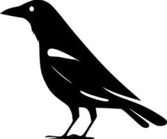 cuervo, minimalista y sencillo silueta - ilustración vector