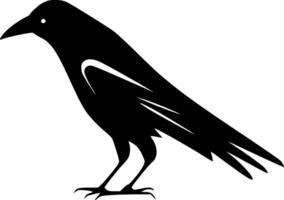 Crow, Black and White illustration vector