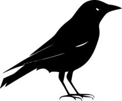 Crow - High Quality Logo - illustration ideal for T-shirt graphic vector