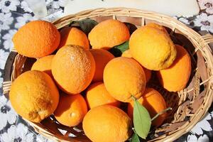 frutas y vegetales son vendido a un bazar en Israel. foto