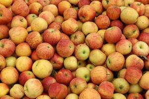 frutas y vegetales son vendido a un bazar en Israel. foto